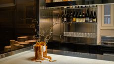 pierre wine bar rome italy