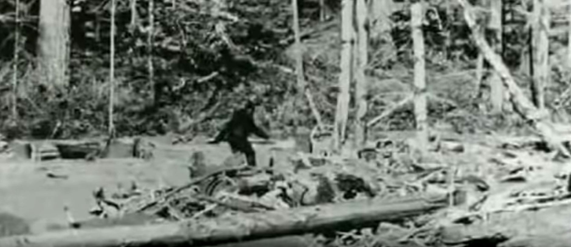 real bigfoot evidence 2022