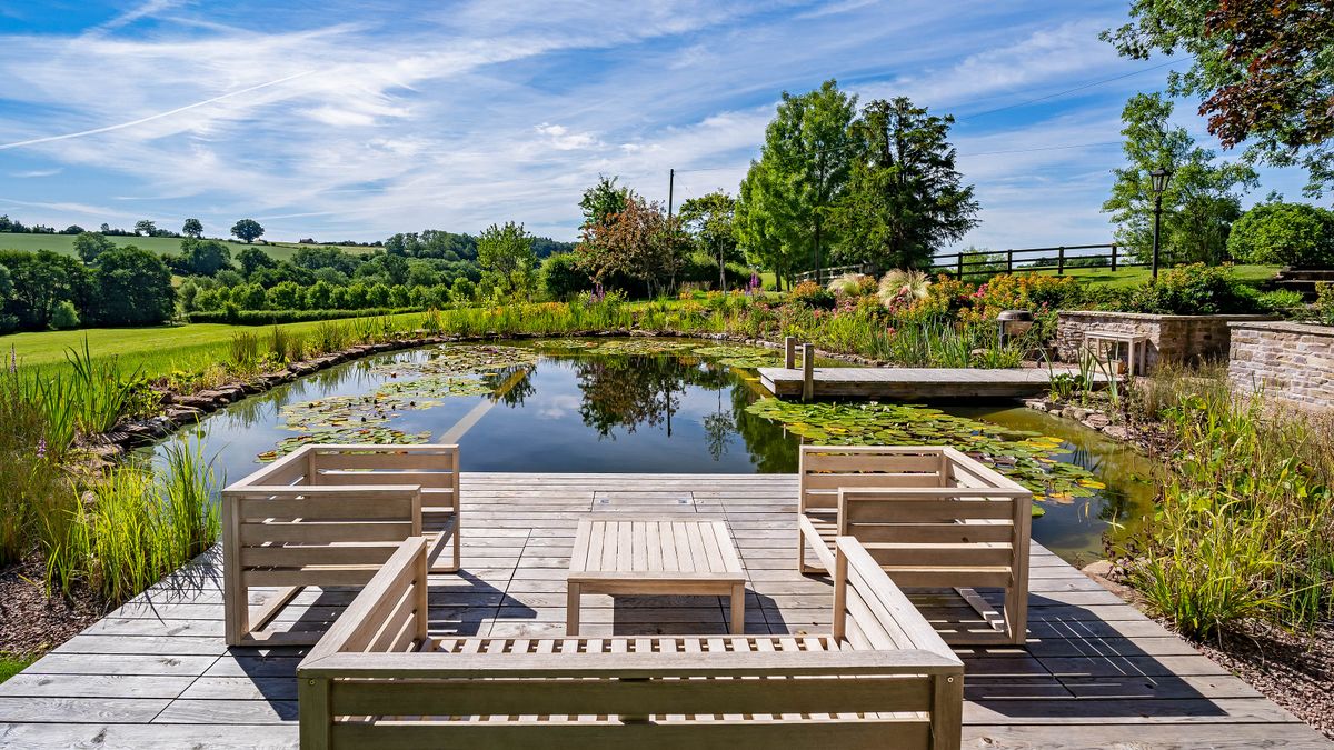 Natural pools: 10 stunning designs and ideas for backyard swimming ponds