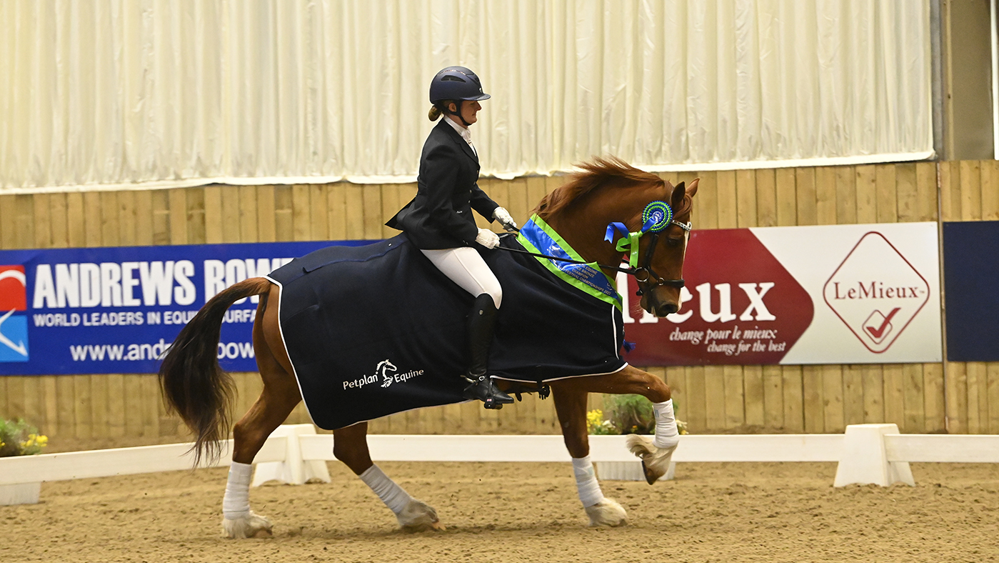 Llanarth Magestic and Sophie Lawson at the Winter Dressage Championships 2023