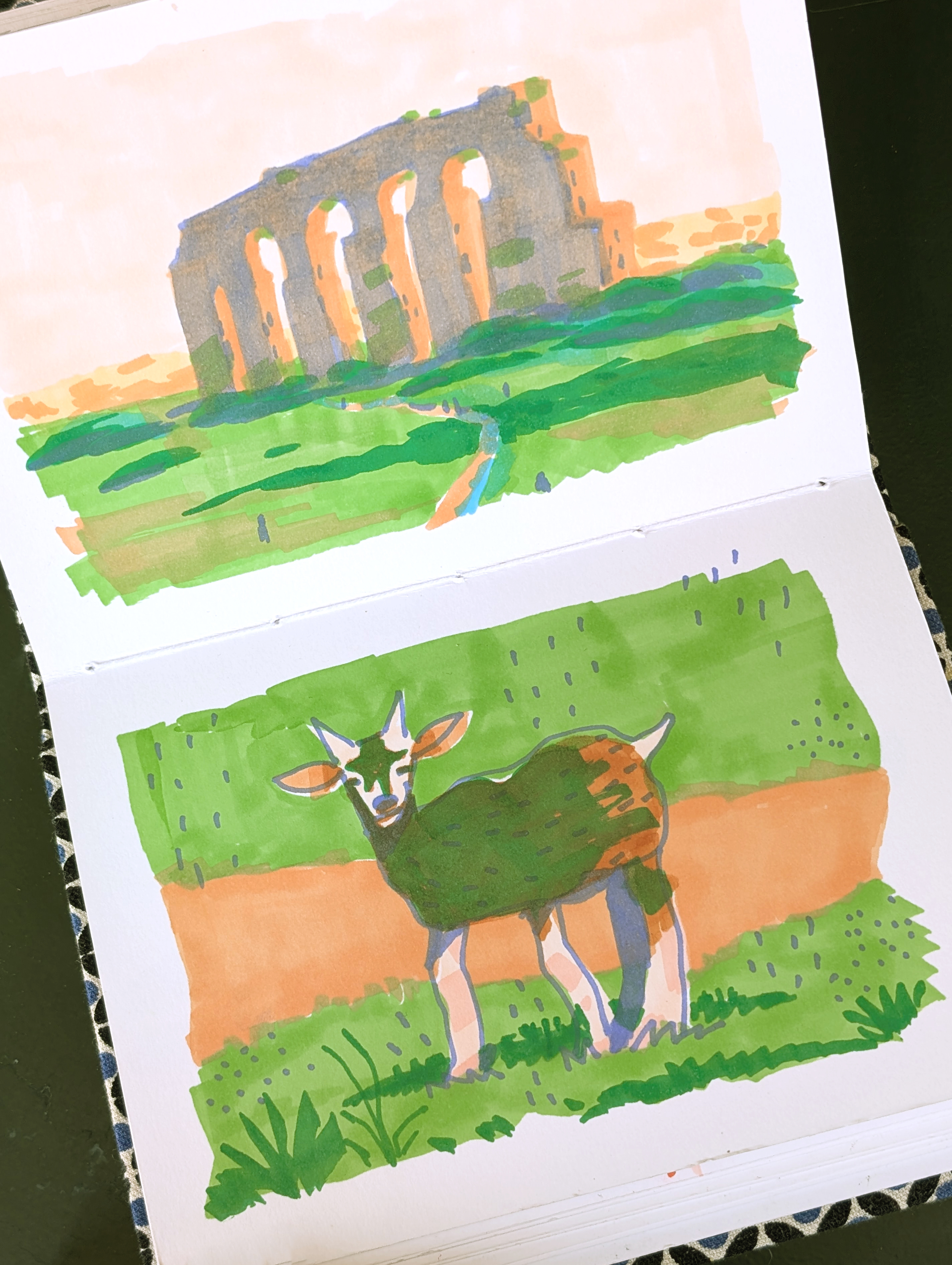 Inside the artist sketchbook; a watercolour sketch of a goat