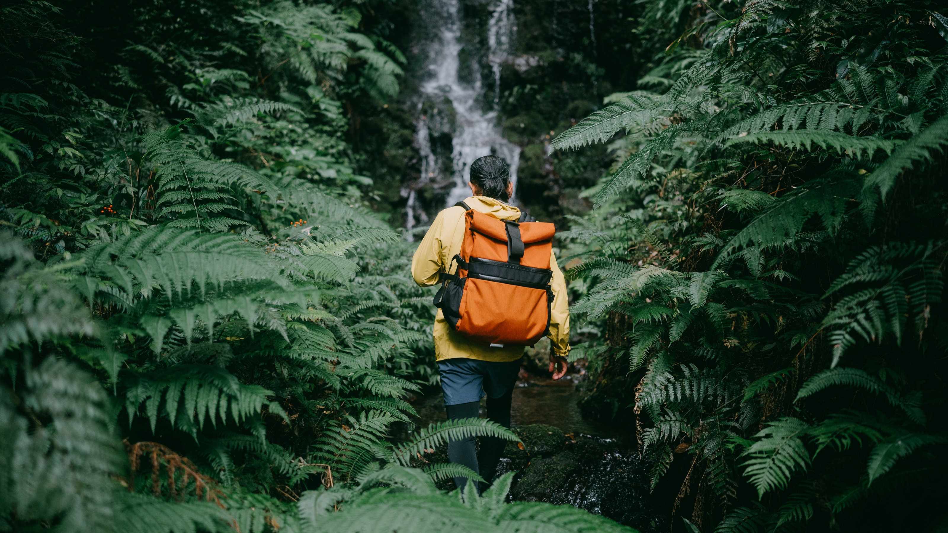 A hiker faces a waterfall in a jungle.