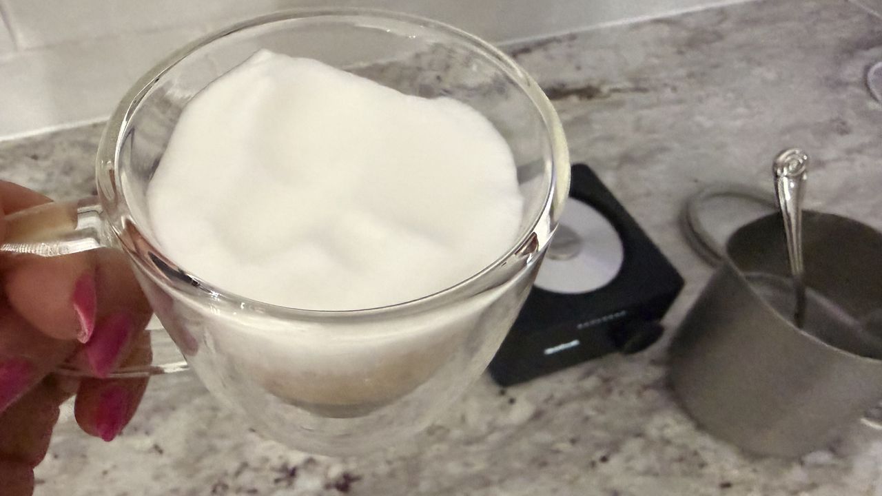 Terra Kaffe Aero hot froth setting