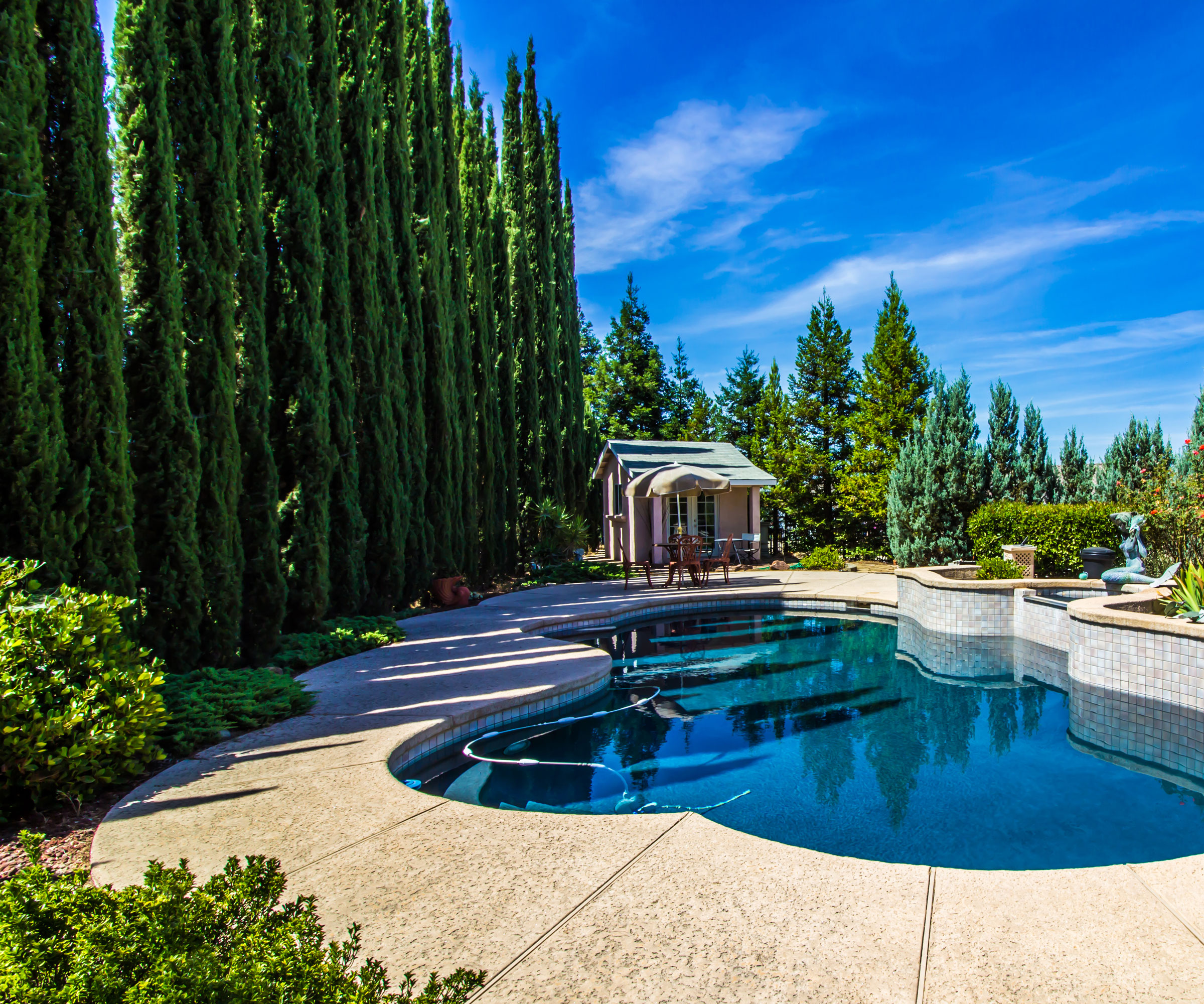 poolside area with privacy screen of Italian cypress trees, and pool house and other planting