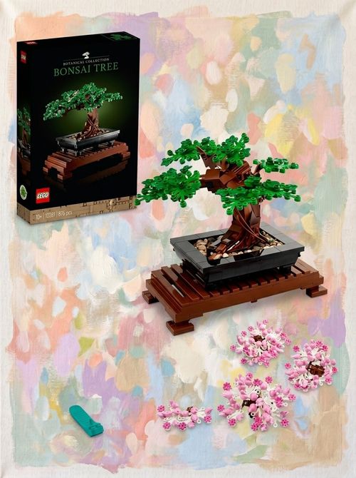 Bonsai Tree 10281