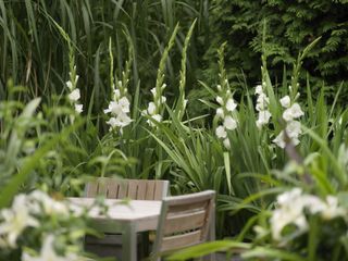 Garden table and chairs with white gladioli surrounding