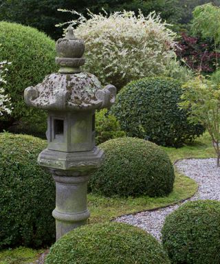 topiary in a Japanese garden design