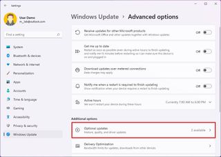 Windows 11 Optional updates