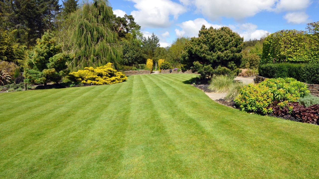 Beautiful lush green lawn with established trees and shrubs