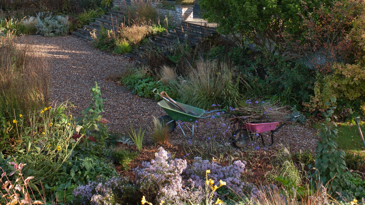 A garden with a wheelbarrow in the middle