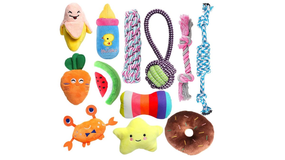 Best puppy toys Perfect playthings for young dogs PetsRadar