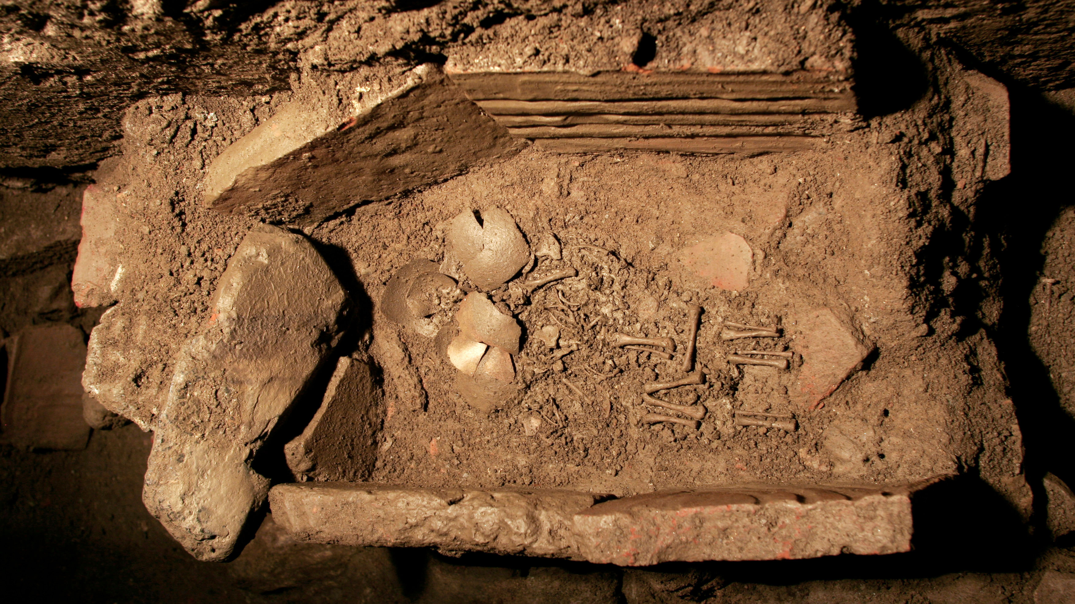 top-down view of a tomb being excavated with two small human skeletons inside