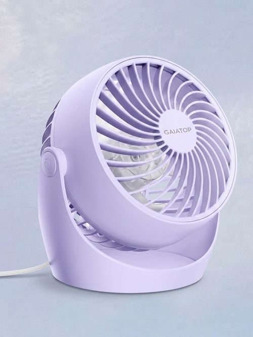 Desk Fan