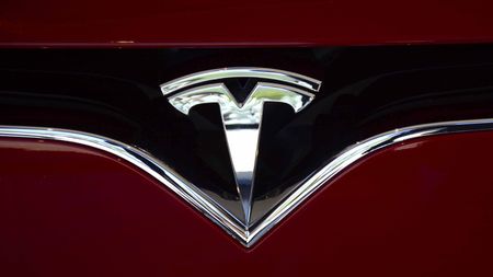 Tesla logo on car