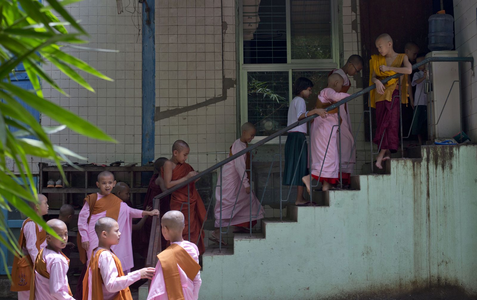 Monks In Training The Week