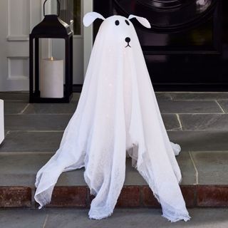 Lit Ghost Dog