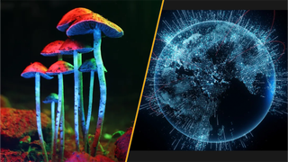 Split image of magic mushrooms and an artist's impression of the internet, showing the globe drawn up in a futuristic neon blue