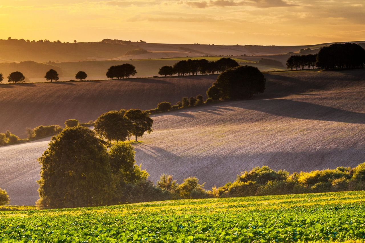 The North Wessex Downs in Wiltshire.