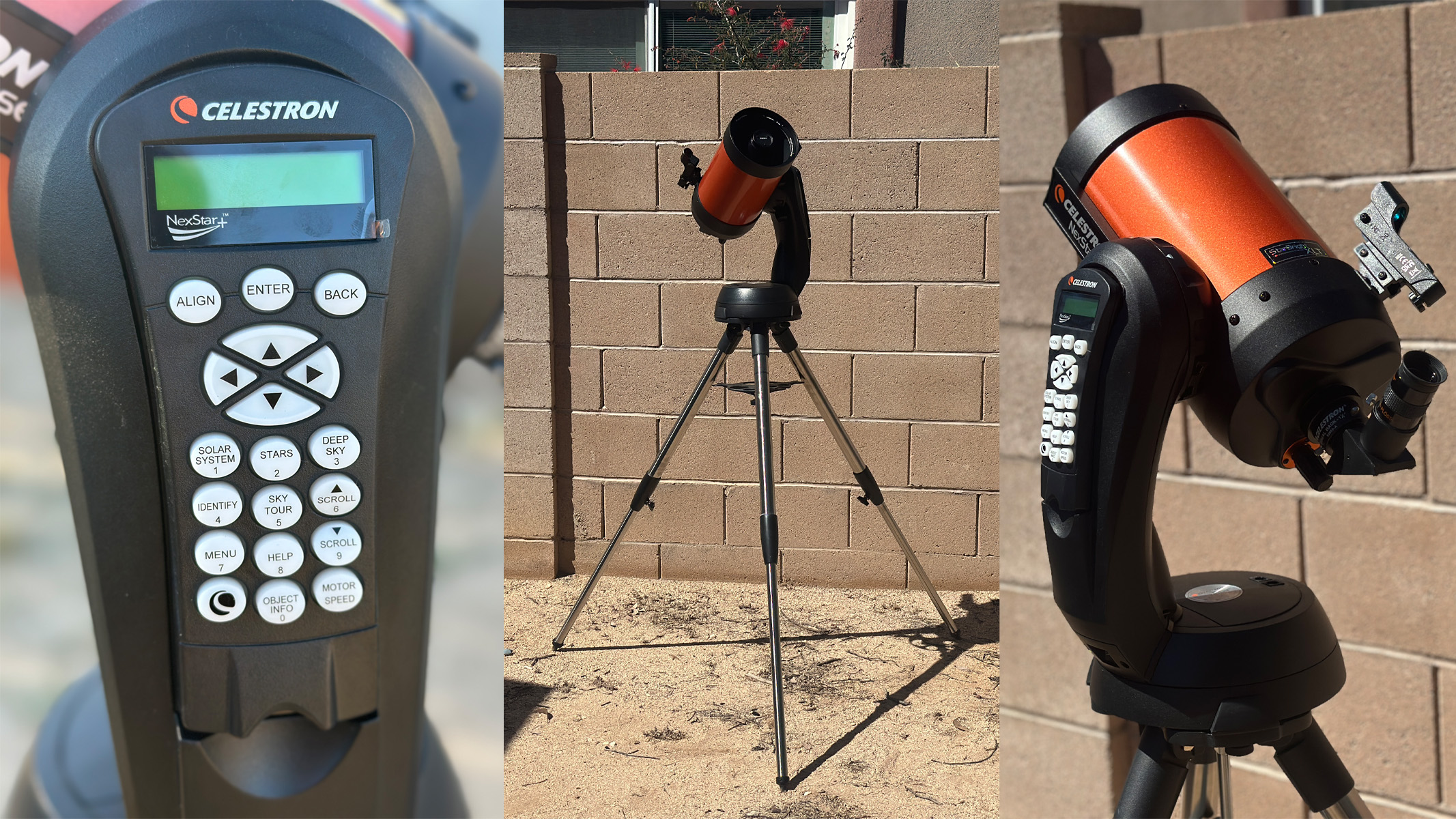 Celestron NexStar 6SE in a backyard, in front of a brick wall