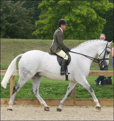 diamondwhite.jpg