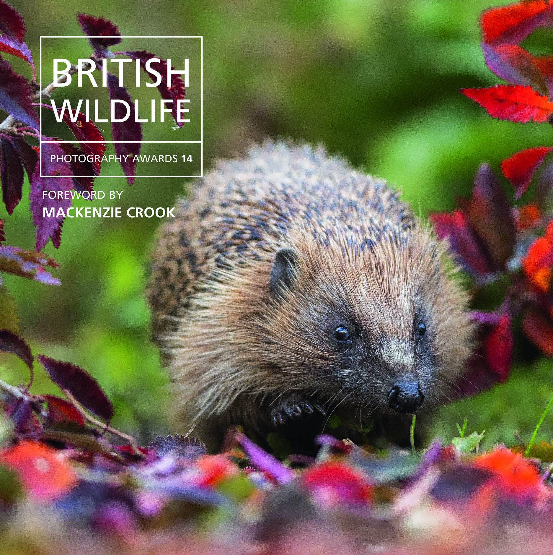 The cover of the book, featuring a hedgehog