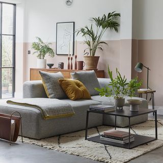 Living room with potted plants and sofa set with cushion
