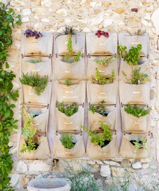 Vertical hessian wall feature of herbs in pockets