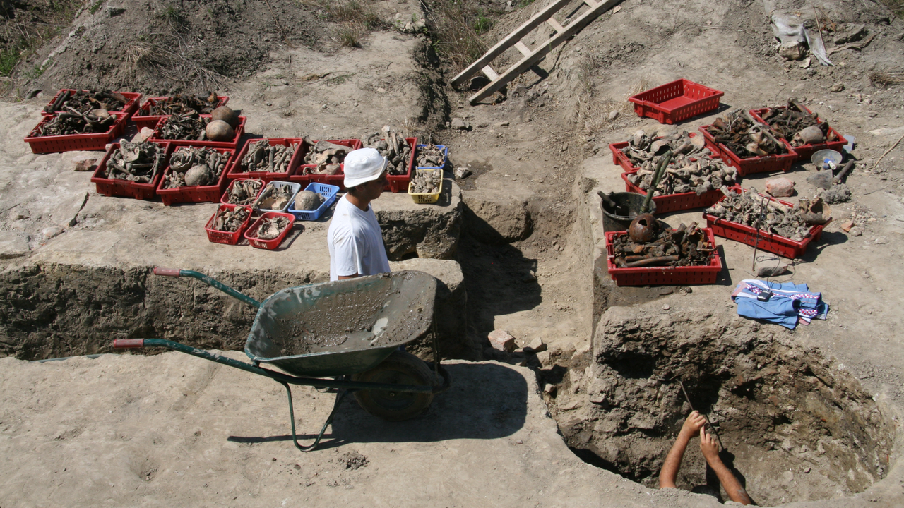 'They basically used these dried-up wells just to throw people in': 43 skeletons found in Roman-era well may be evidence of deadly plague