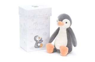 My First Penguin, a soft toy by London-based Jellycat, was chosen as SpaceX's Crew-2 astronauts as their zero-g indicator.