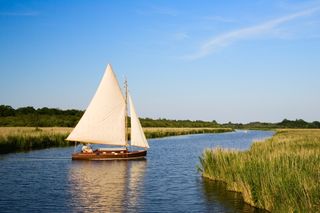 A small boat sails in one of the many channels of the Norfolk Broads