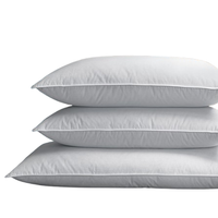 2 Sheraton Feather & Down Pillows (queen): was $170now $110.50 at Sheraton Store
