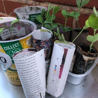 Newspaper seedling pots