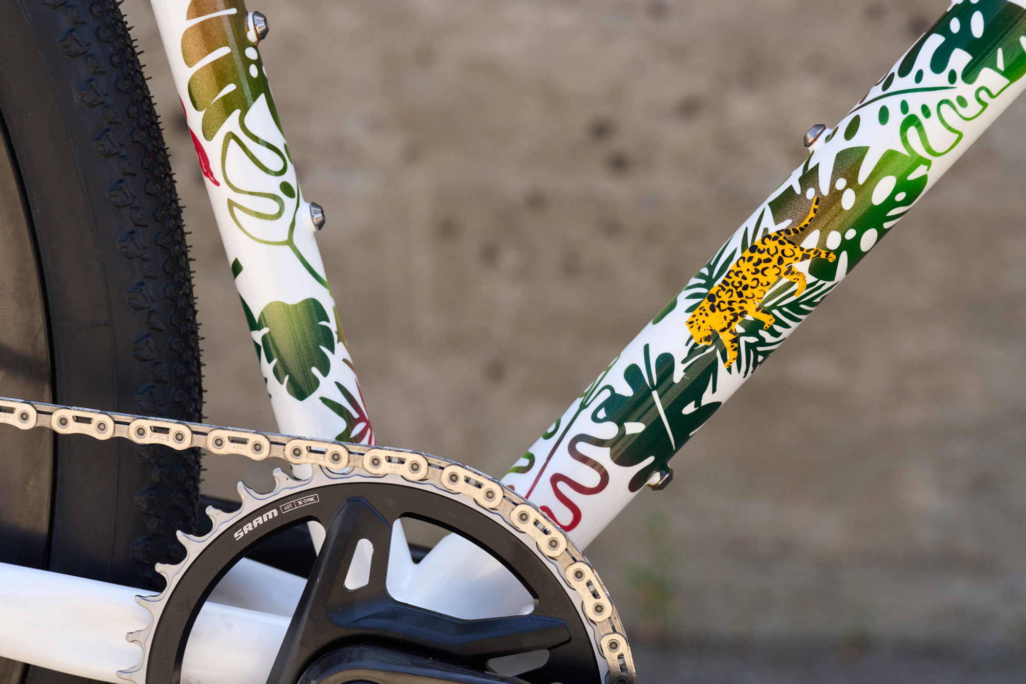 Scarab Cycles Paramom gravel bike
