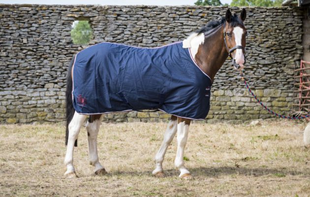 Premier Equine Stratus Stable review
