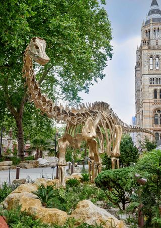 Natural History Museum gardens and Fern the dinosaur