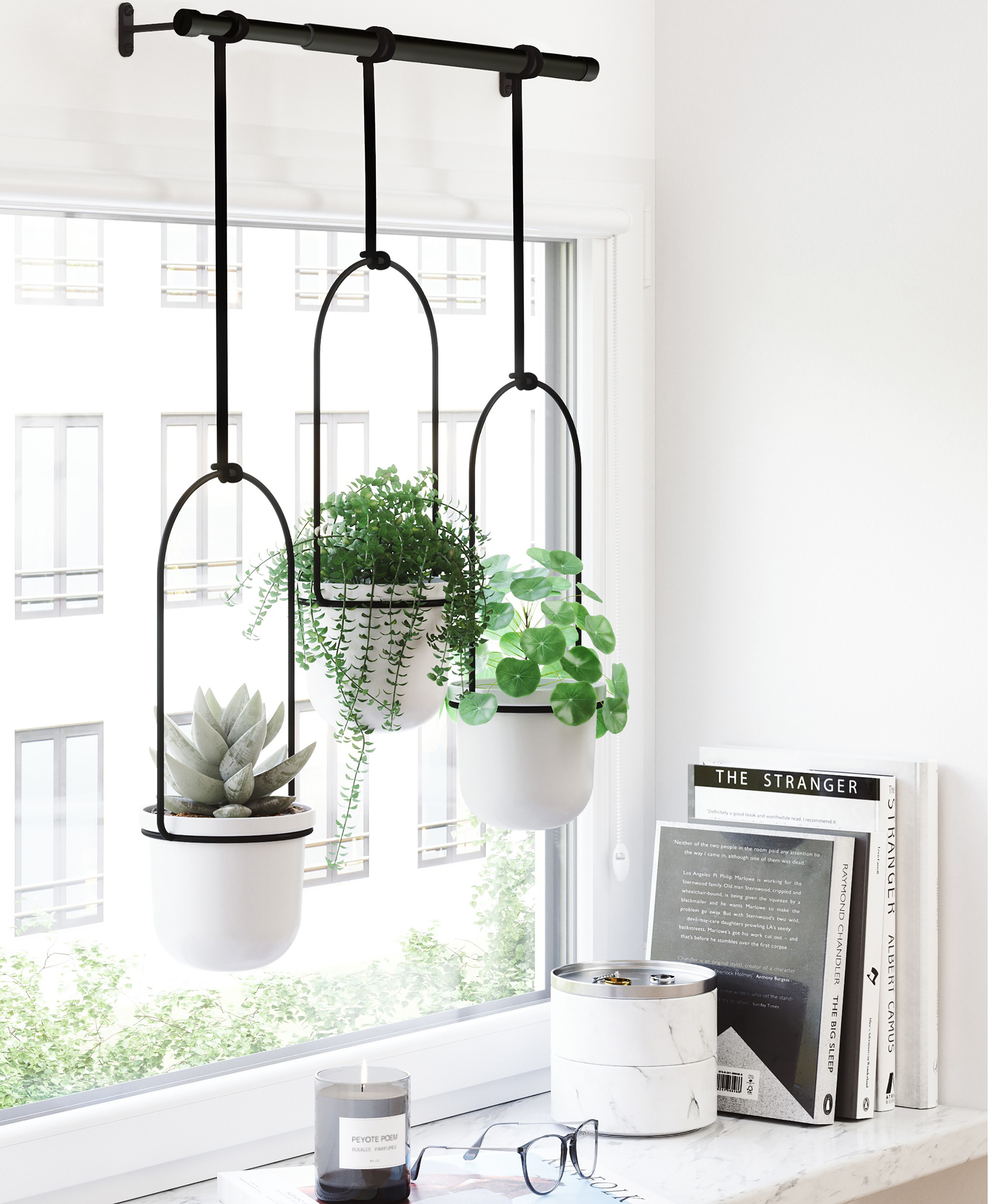 Triflora black hanging basket by Wayfair