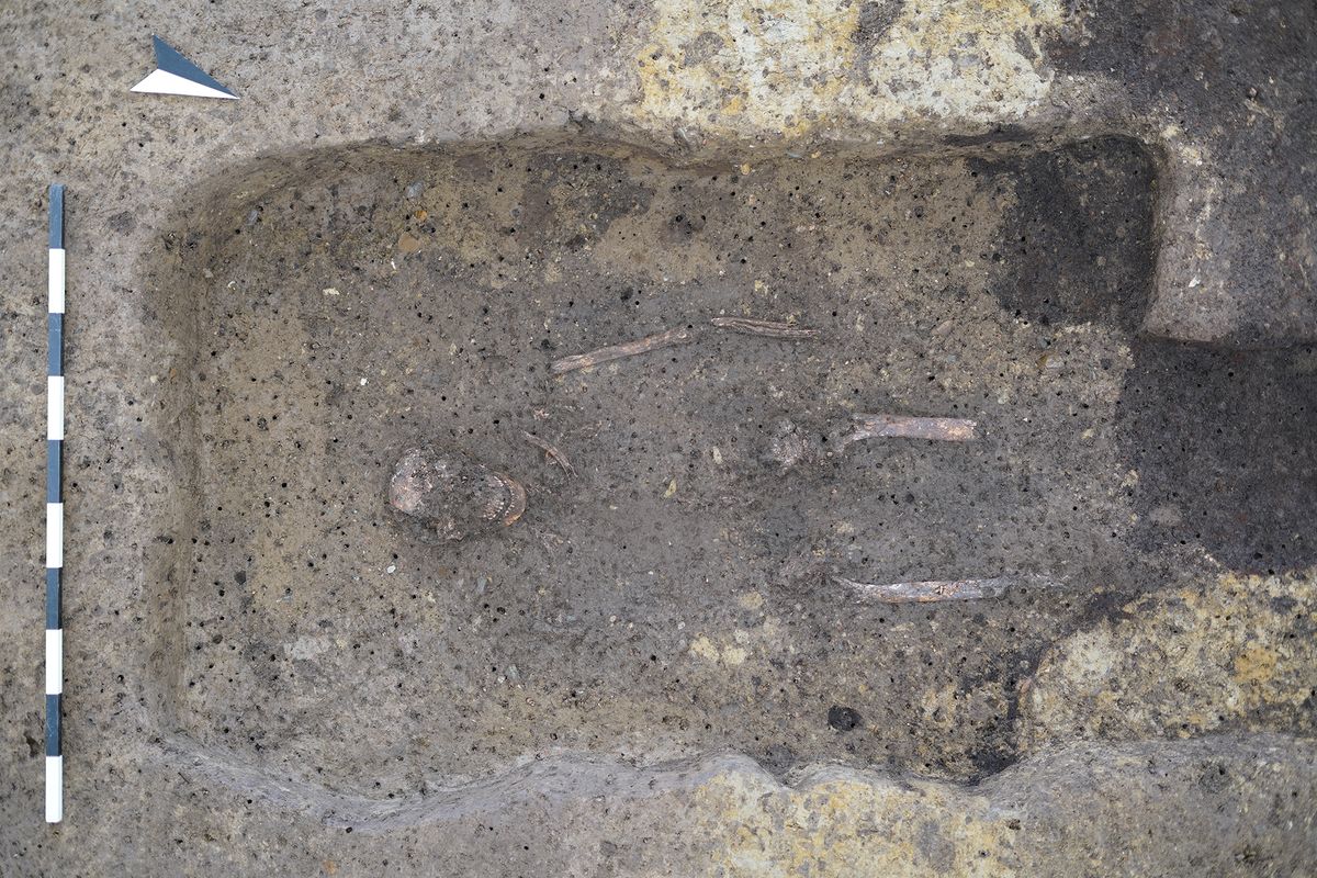 2,600-year-old Celtic wooden burial chamber of 'outstanding scientific ...