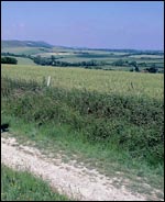 walk1.jpg