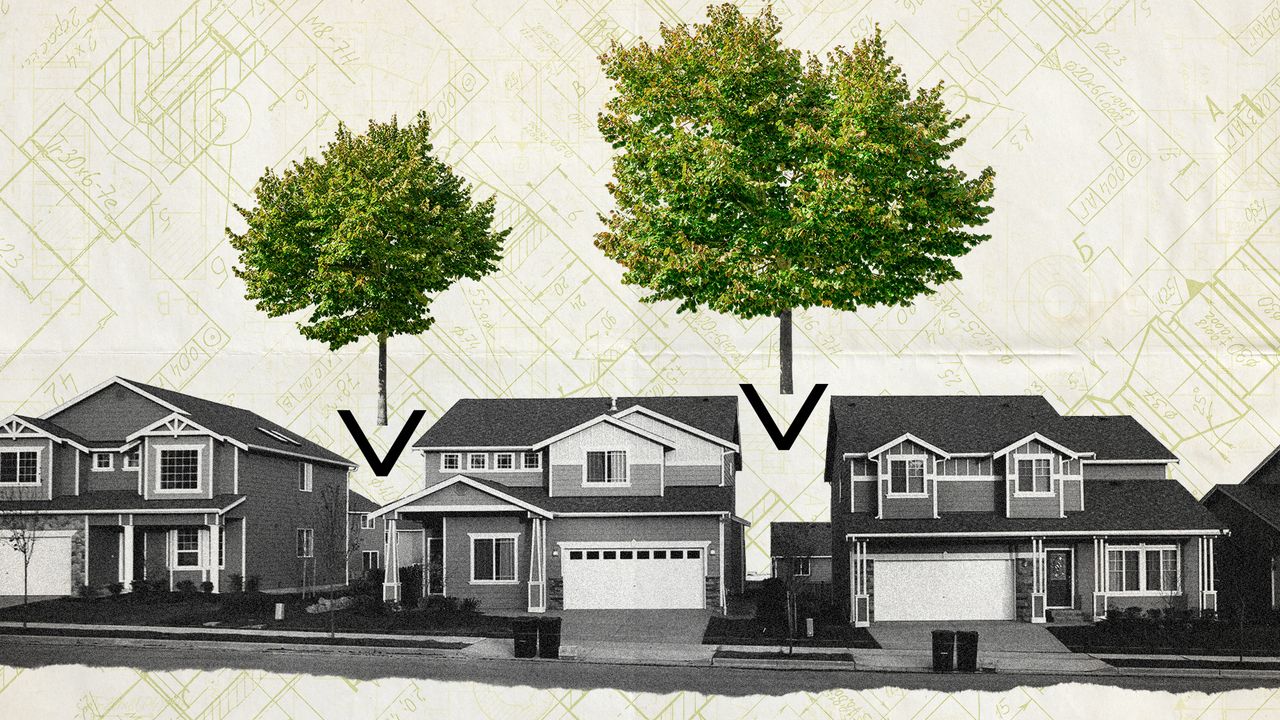 Photo collage of a row of suburban houses, with two linden trees inserted in between.