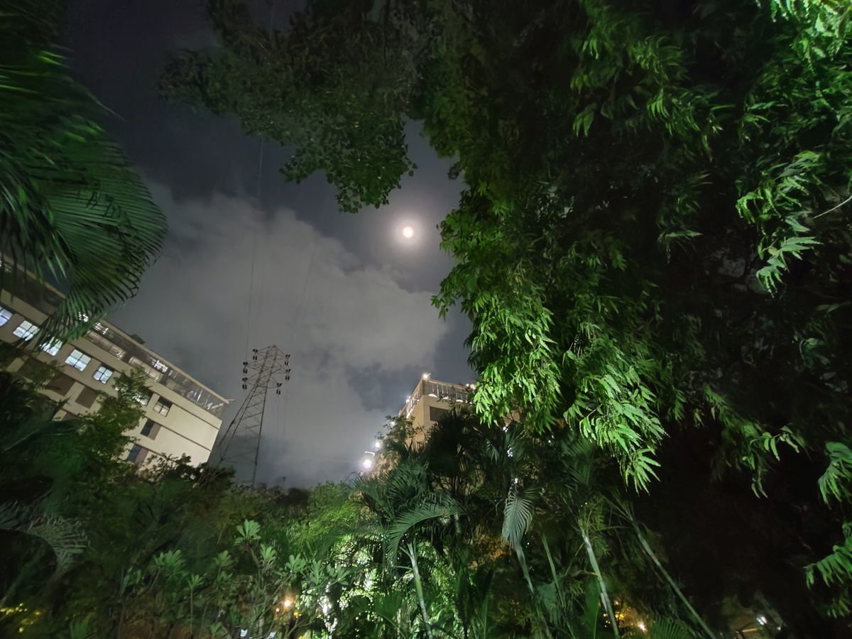 Realme 12 Pro+ camera samples