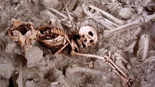 An ancient skeleton surrounded by other bones at a burial site in Spain.