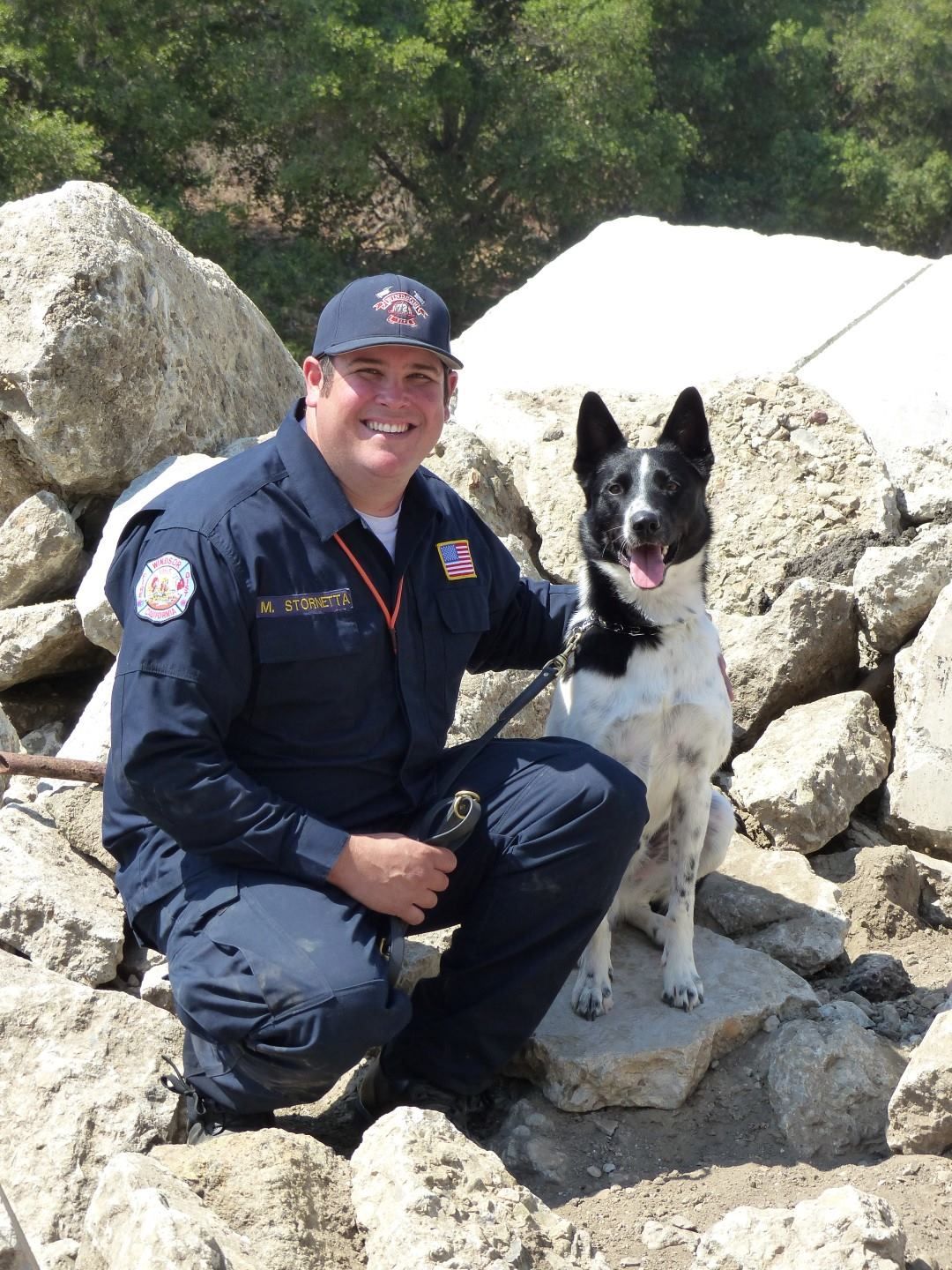 Rocket the border collie and pal.