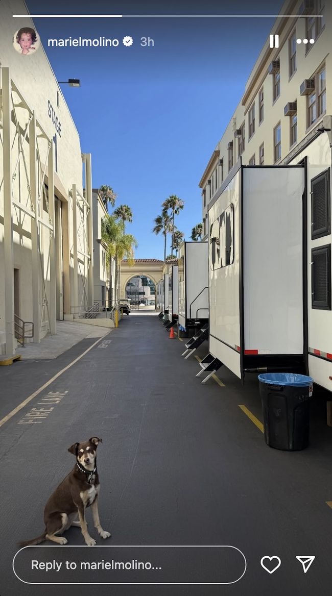 NCIS: Origins Season 2 Has Begun Filming, And There’s Already A Major Lala Update To Share