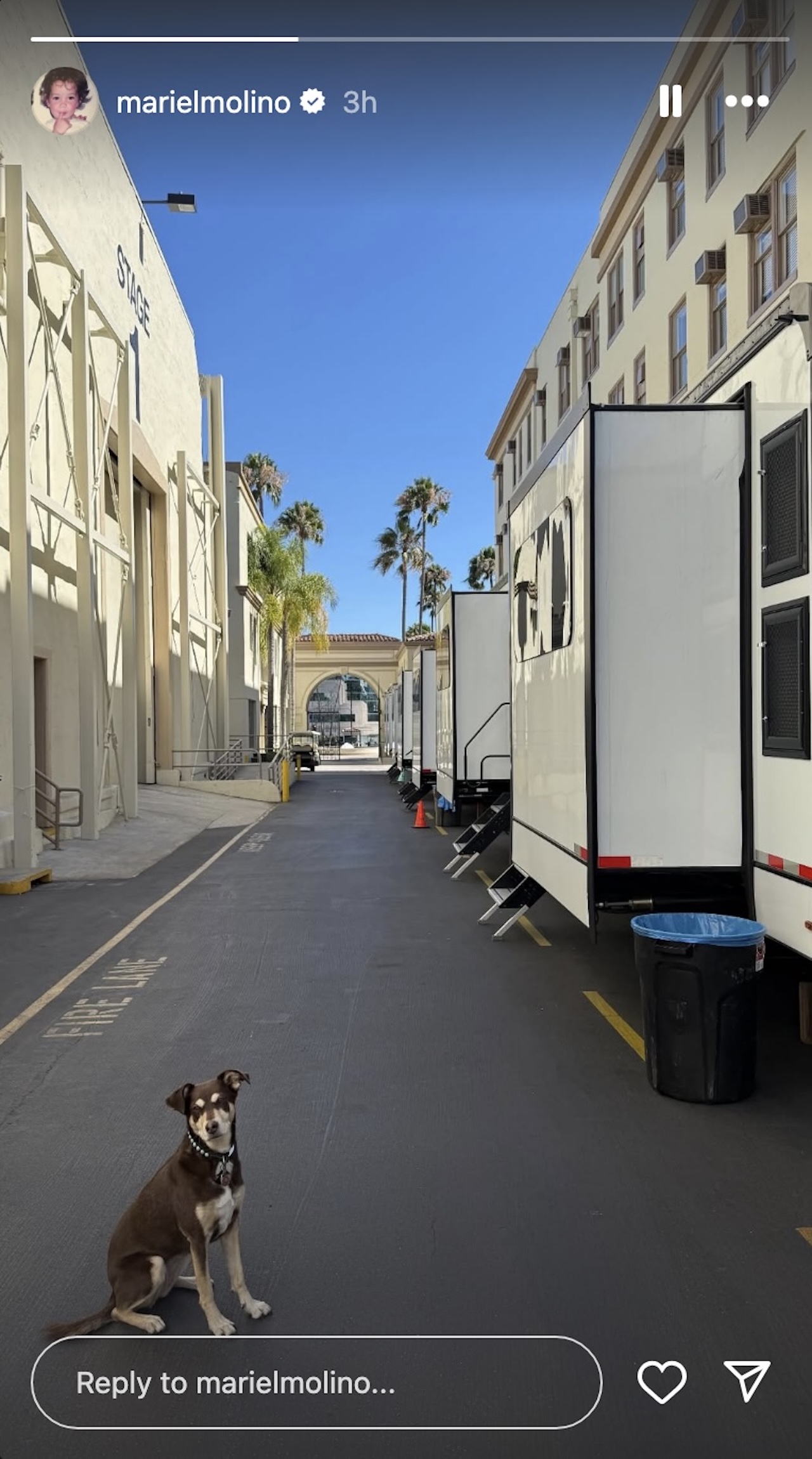 Mariel Molino's Instagram Stories picture of NCIS: Origins corner of the Paramount lot with a dog in frame