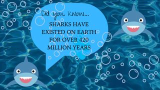 Shark fun facts for kids