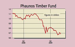 446_P08_phaunos-timber