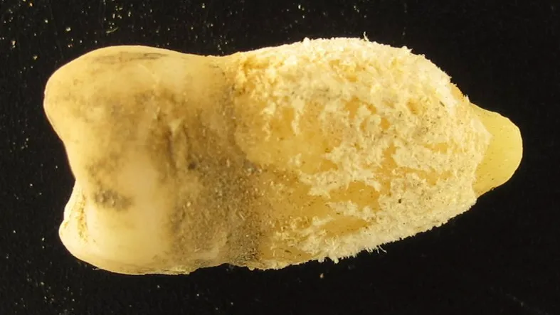 Post image 3