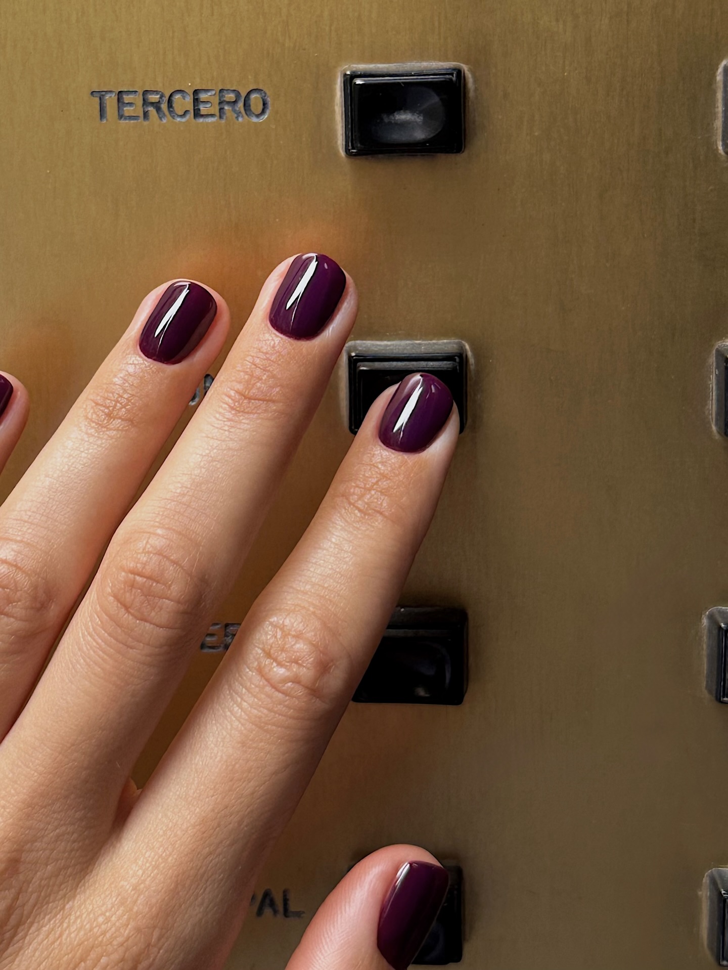 A close up of a hand painted with a dark berry nails colour