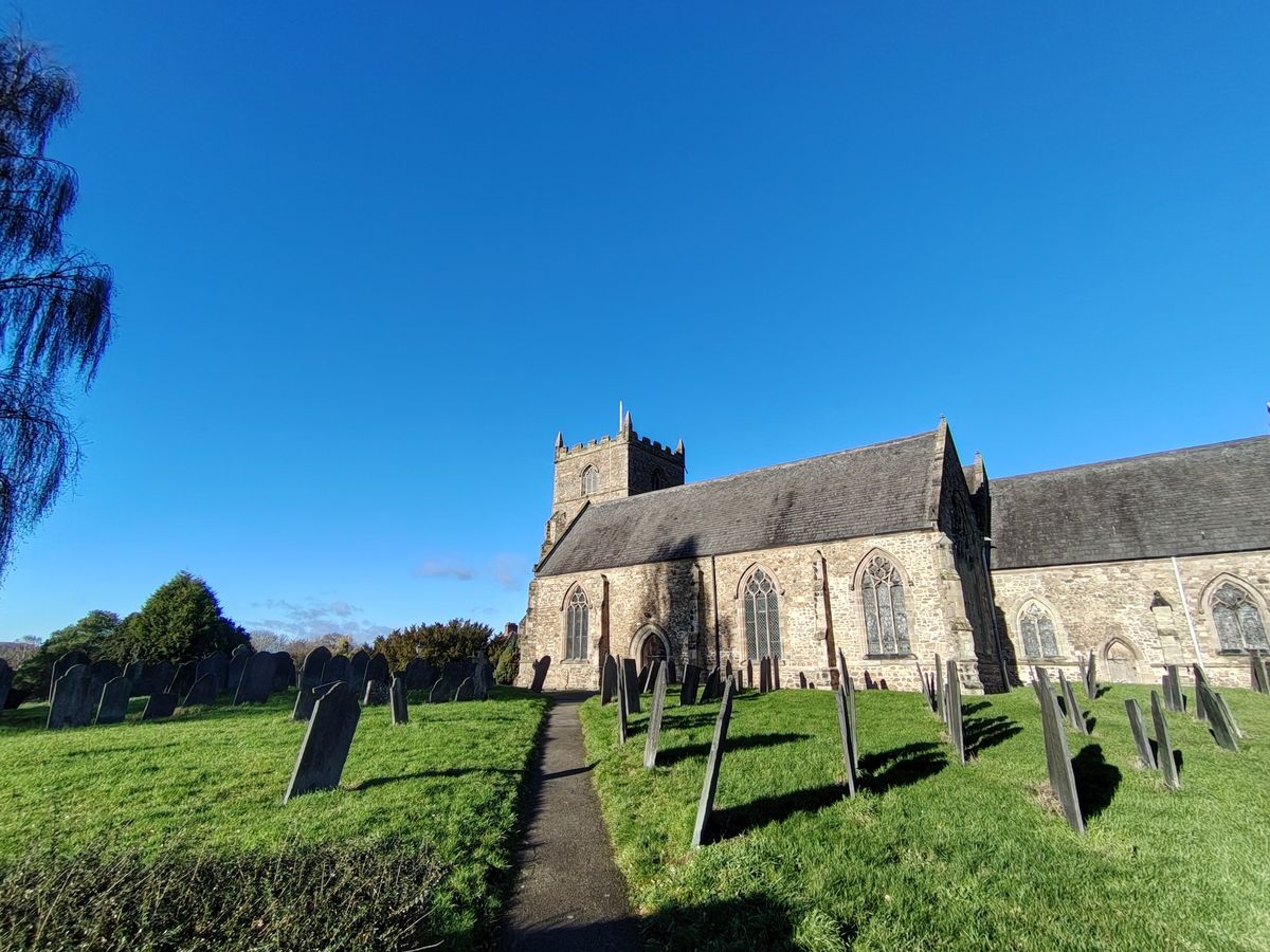 Honor Magic 8 Lite camera samples