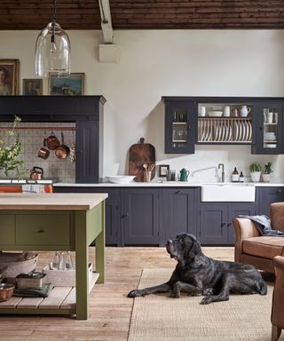 Dark grey kitchen with green island and dog